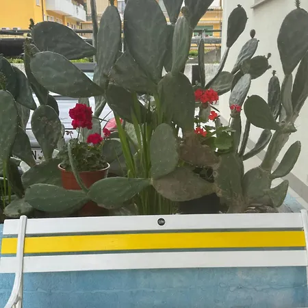 24 Center Parking And Sea Design District Lejlighed *